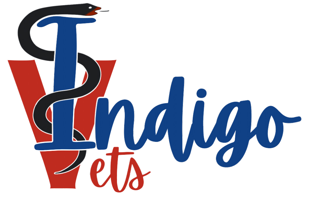 Indigo Vets